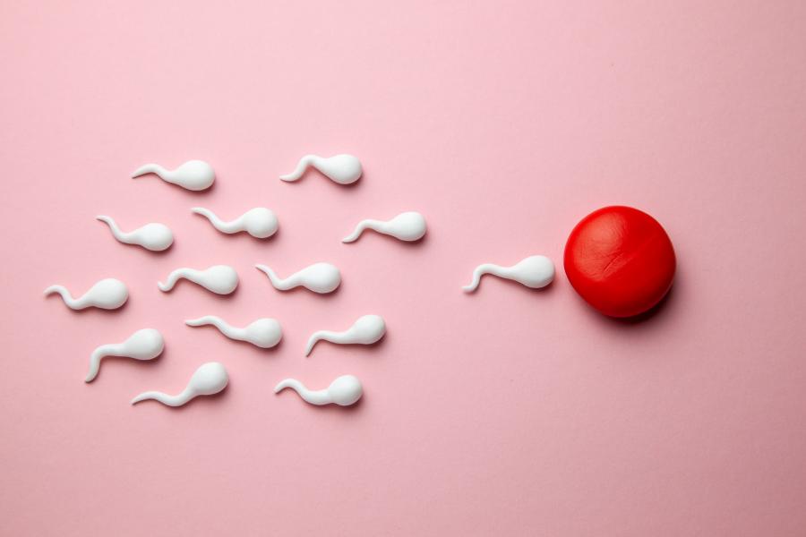 Sperm fertility and laser acupuncture Vancouver BC sperm health