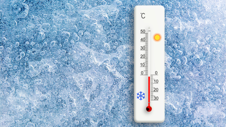 Egg Freezing in Vancouver: How to Support Egg Quality Before Your Retrieval