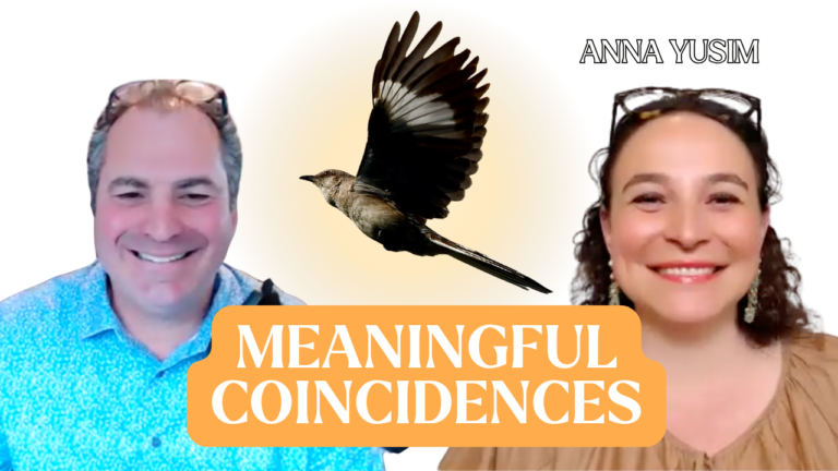 Synchronicity, Consciousness & the Power of Letting Go with Dr. Anna Yusim