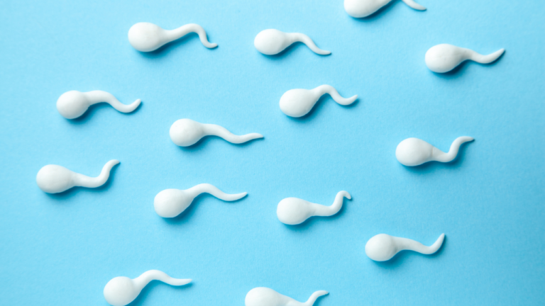 Unexplained Infertility, Recurrent Miscarriage or no Blastocyst? Sperm Health May Be the Missing Link