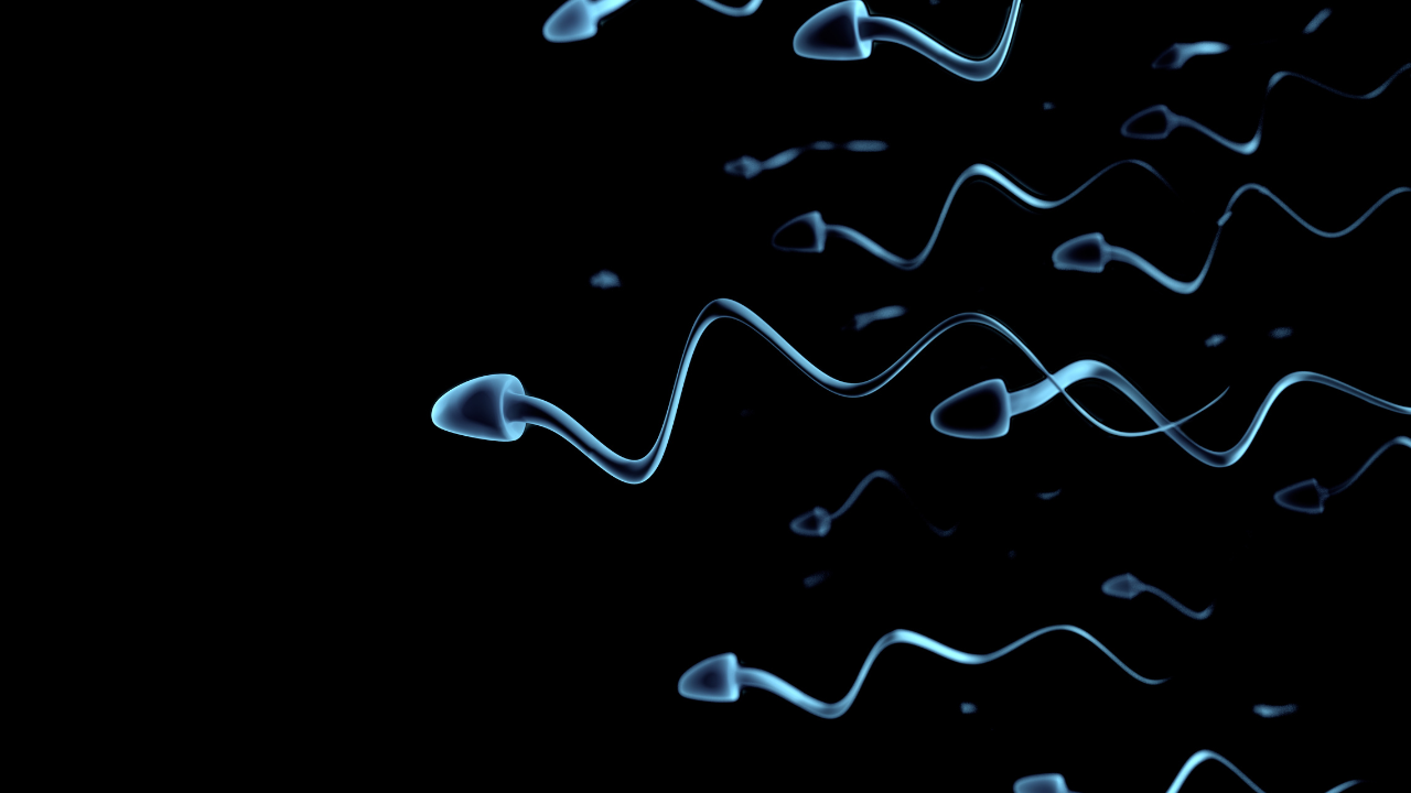 Illustration of healthy, motile sperm swimming